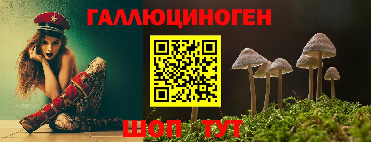 дарнет шоп  Псилоцибиновые грибы Psilocybine cubensis  Вход с VPN  Вичуга 